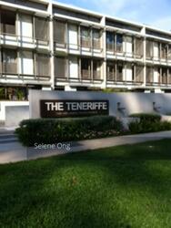 The Teneriffe (D10), Terrace #284649251